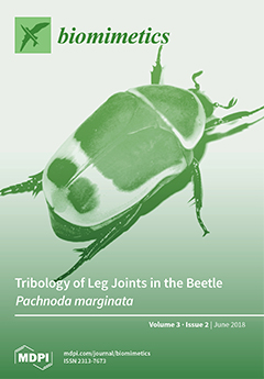 Issue Cover