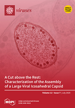 Issue Cover